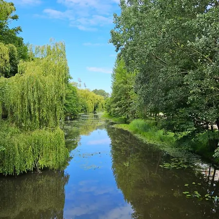 Salt Island Apartament Apartman *